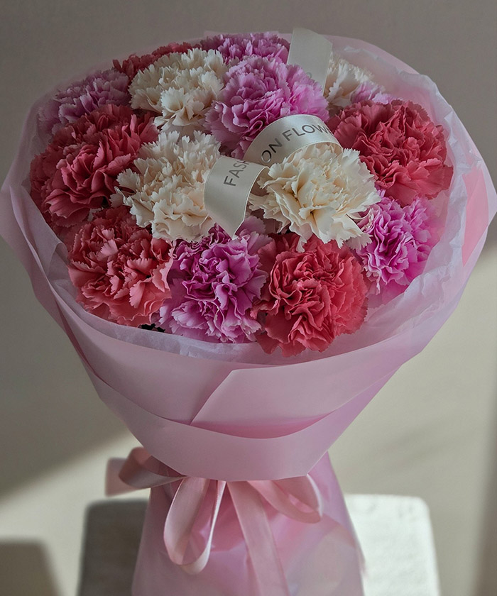 15 диантусов Молли №3066