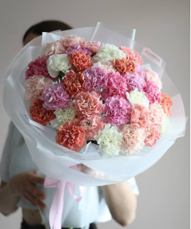 35 диантусов "Маршмеллоу" №4599