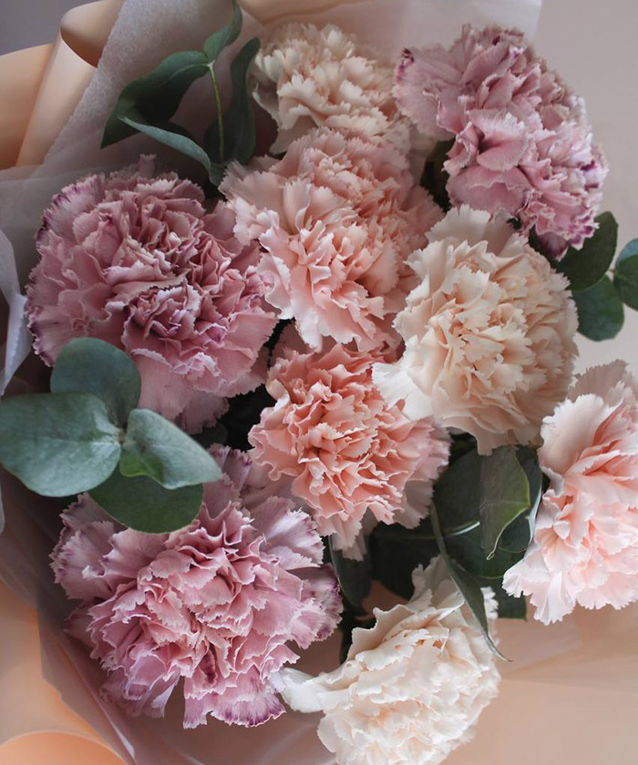 9 сортовых диантусов и эвкалипт №4690