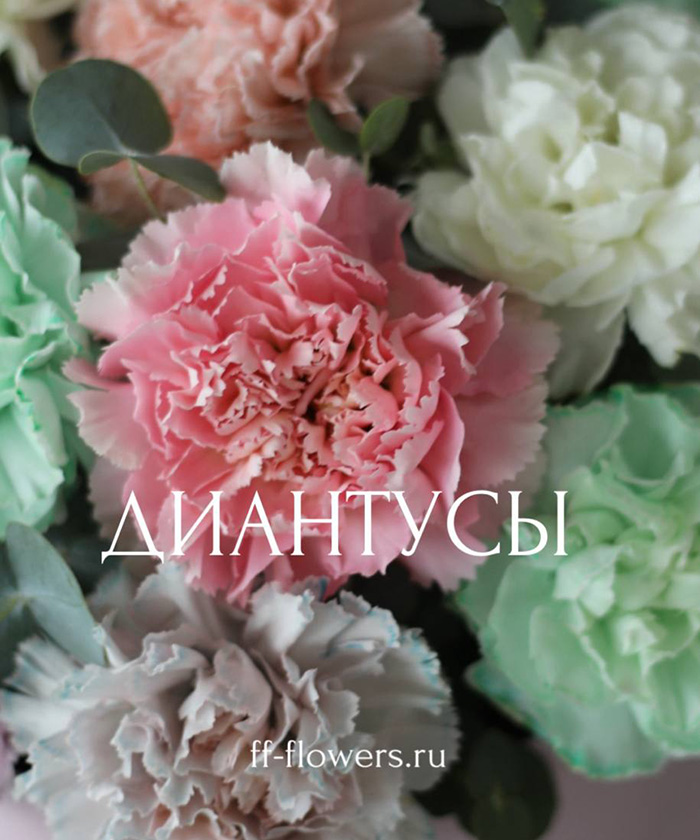 Диантусы в шляпной коробке 