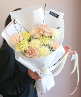 11 нежных диантусов №2852