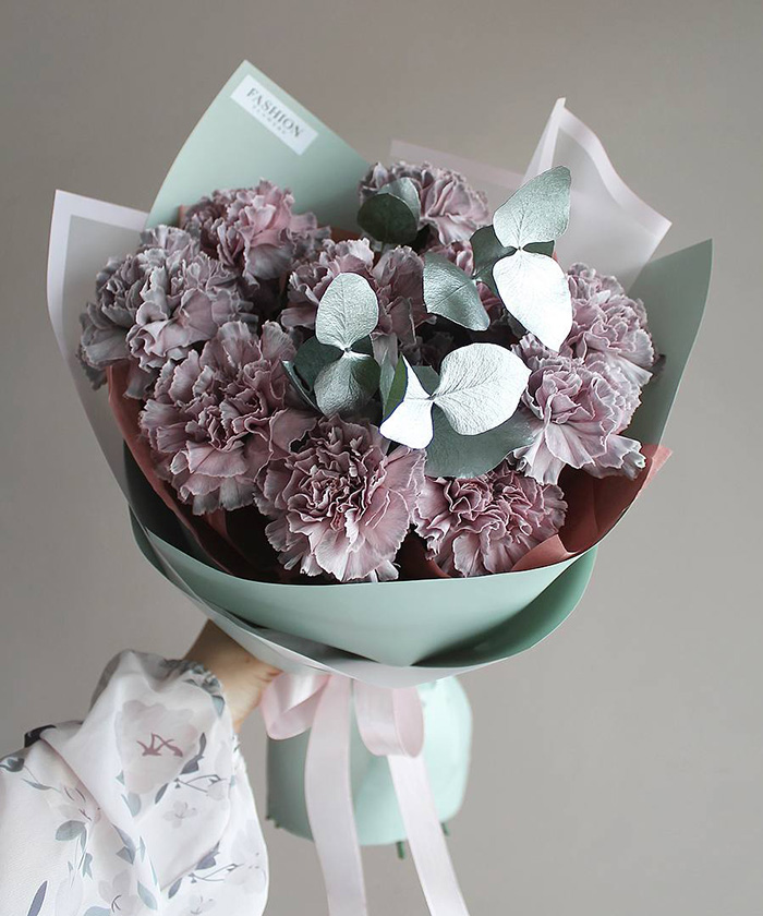 11 диантусов Тинтед 