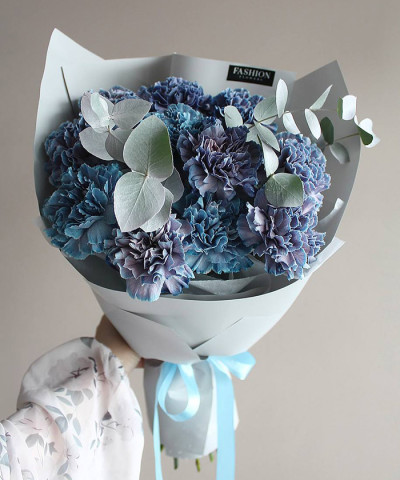 11 диантусов Тинтед "Космос внутри" №4645