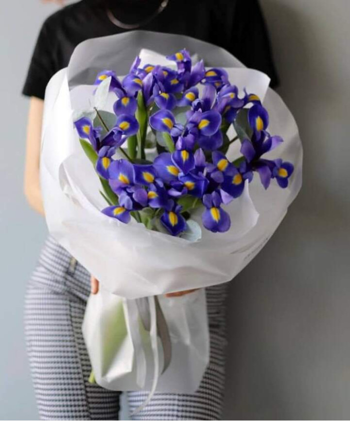 11 ирисов №4266