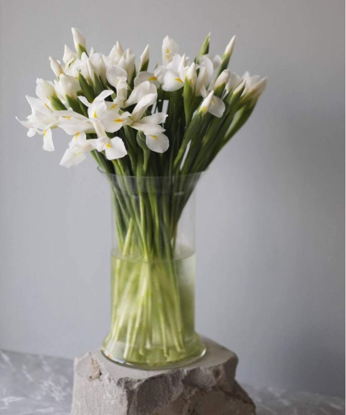 Ирисы белые, поштучно