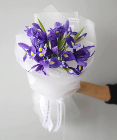 11 фиолетовых ирисов Гонг Конг №9974