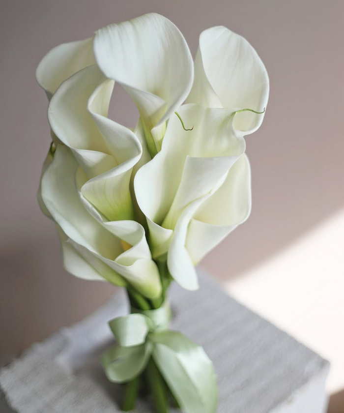 Белые каллы 