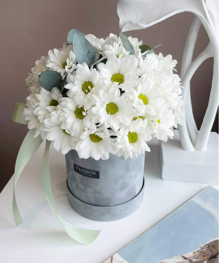 Ромашковая хризантема в бархатном боксе №2768