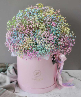 Гипсофила Рейнбоу в шляпной коробке №5090
