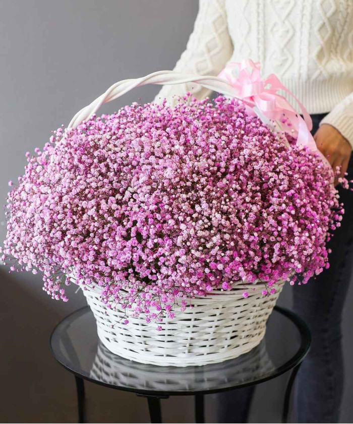 25 розовой гипсофилы в корзине 
