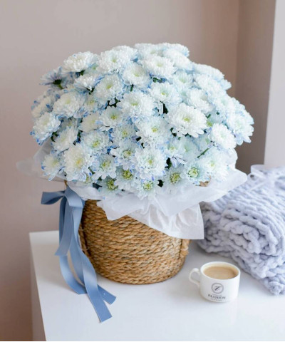 Корзина голубых хризантем "S" №4322