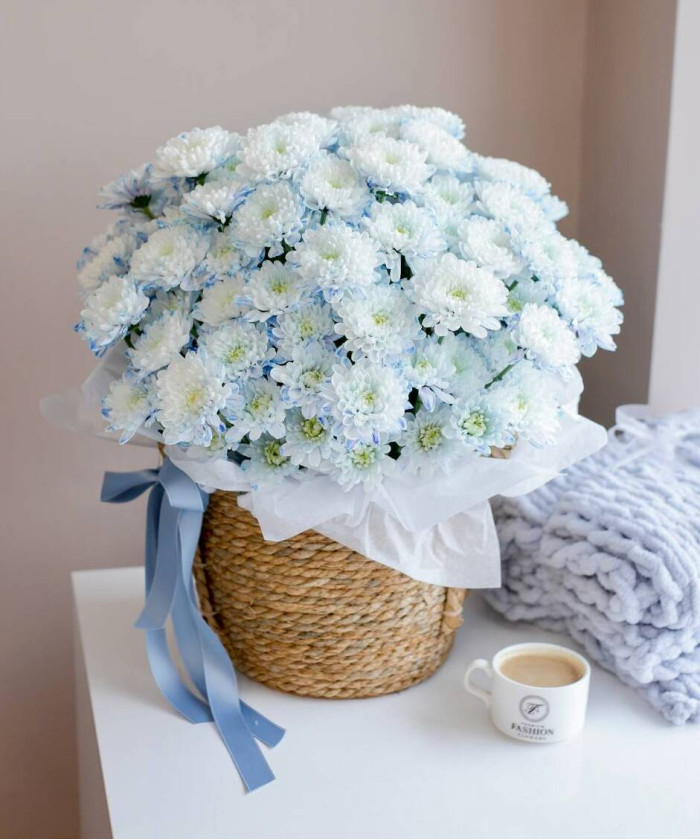 Корзина голубых хризантем 