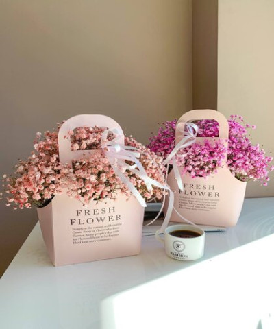 Цветная гипсофила в сумочке №4056