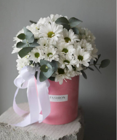 Ромашковая хризантема в бархатной коробочке №3256