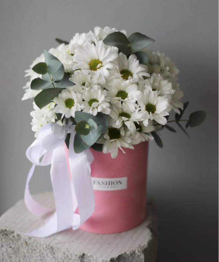 Ромашковая хризантема в бархатной коробочке №3256