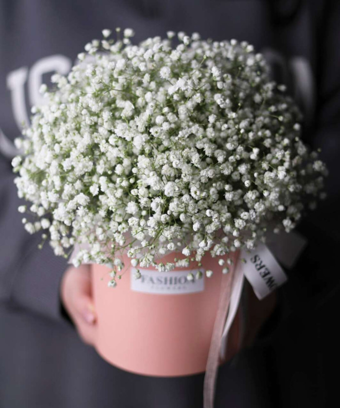 Белая гипсофила в шляпной коробке 