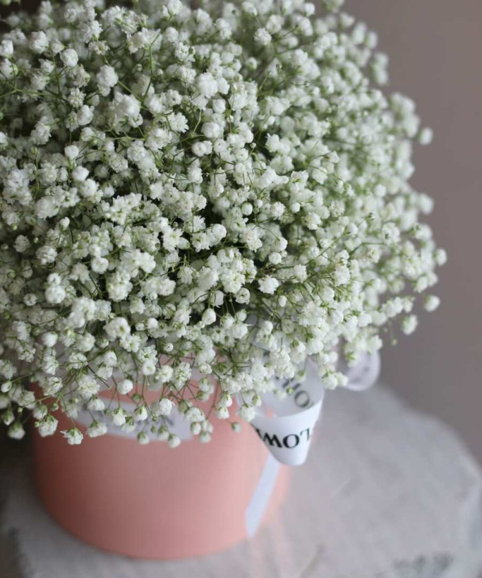 Белая гипсофила в шляпной коробке 