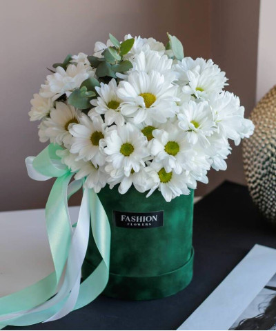 Бархатный бокс с ромашковой хризантемой Кеннеди №3247