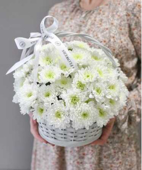 Белая стойкая хризантема Алтай в корзине №3697