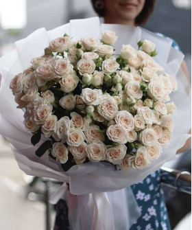 21 кремовая кустовая роза Софи №8743