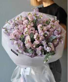 15 кружевной лавандово-розовой маттиолы №7846