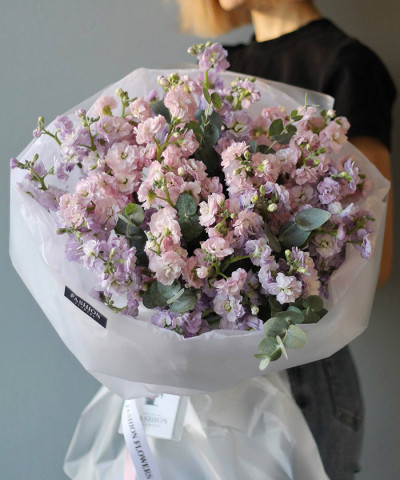 15 кружевной лавандово-розовой маттиолы №7846