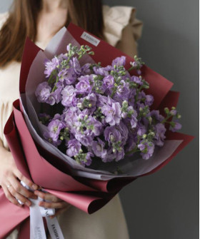 7 кустовой лавандовой маттиолы №9088