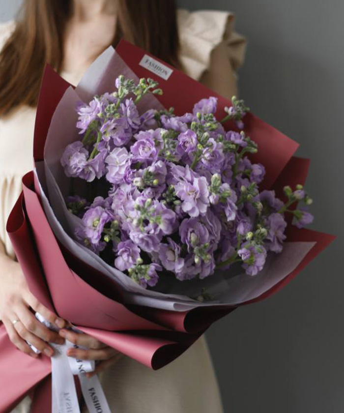 7 кустовой лавандовой маттиолы №9088