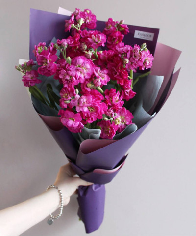 5 ярко-розовой маттиолы Хот пинк №5684