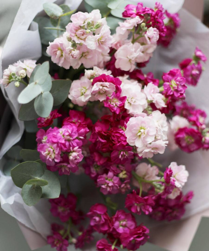 9 ягодной маттиолы хот пинк с эвкалиптом №2137