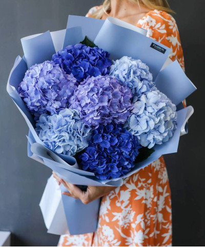 7 сине-голубых гортензий в букете "Байкал" №3677