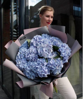 11 голубых гортензий Верена блю №2975