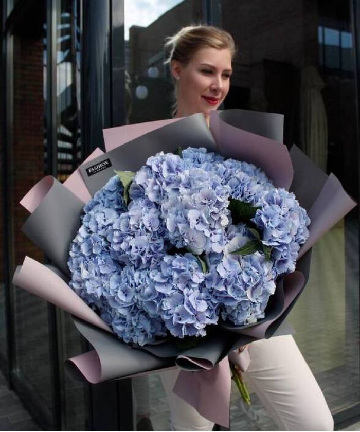 11 голубых гортензий Верена блю №2975