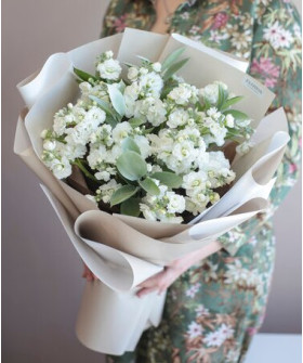 11 белой маттиолы и рускус в букете "Белая дымка" №3580