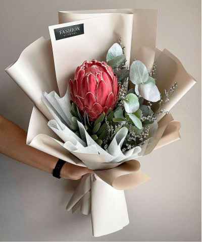 Протея "Кинг" №2591