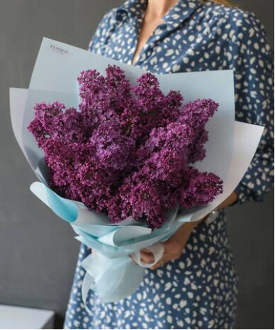 Чарующая сирень №3217