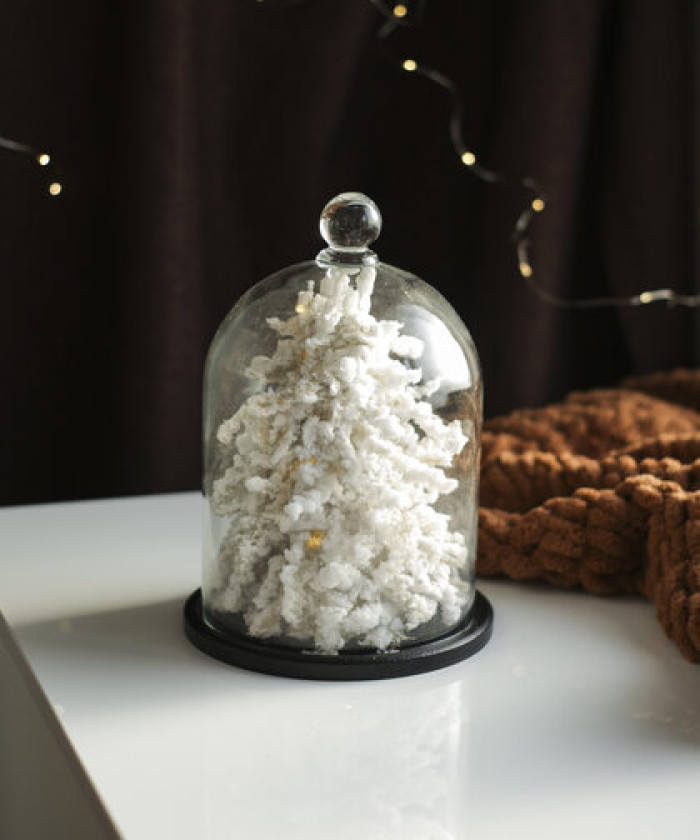 Ёлка в колбе