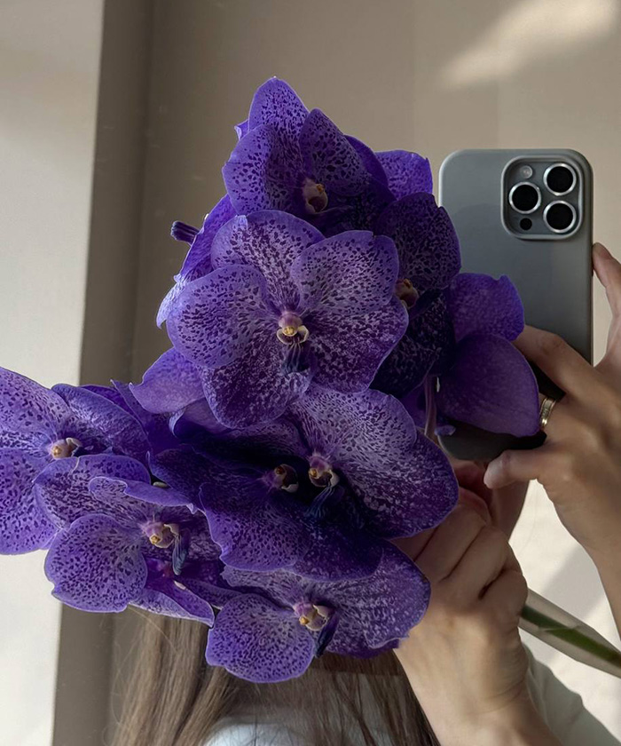 Орхидея Ванда, 1 ветка, цвет в ассортименте, поштучно