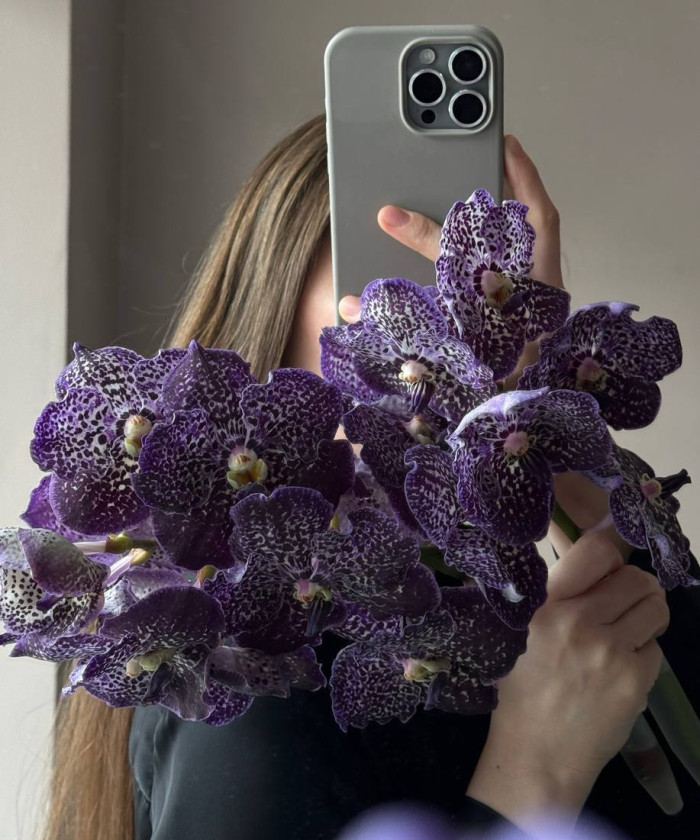 Орхидея Ванда, 1 ветка, цвет в ассортименте, поштучно