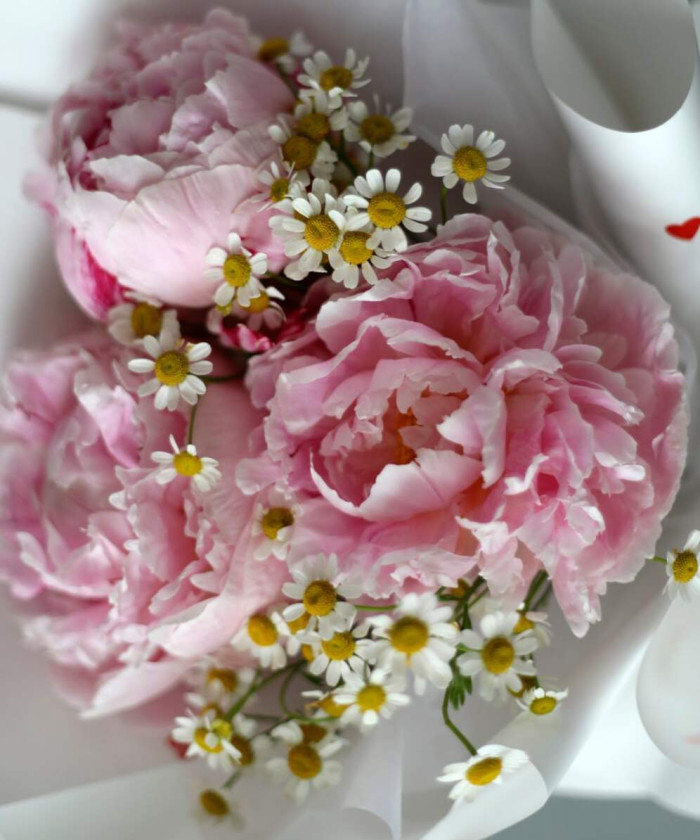 3 розовых пиона и ромашки в букете 