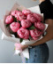11 розовых пионов Этчед Салмон №4090