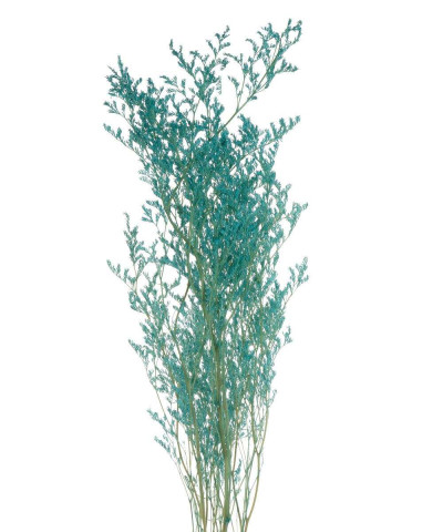 Лимониум стабилизированный