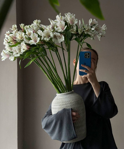 Альстромерия белая и кремовая, в ассортименте