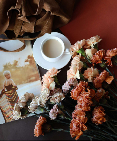 Диантусы крашеные, в коричневых оттенках