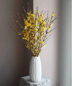 Форзиция, цветущие ветки