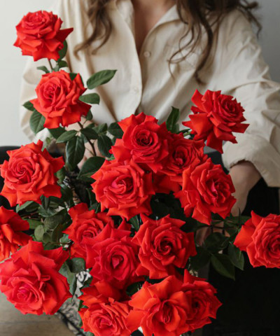 Французские розы Нинель