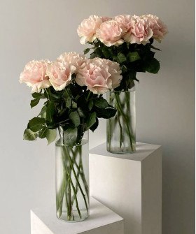 Французские розы Пинк Мондиаль