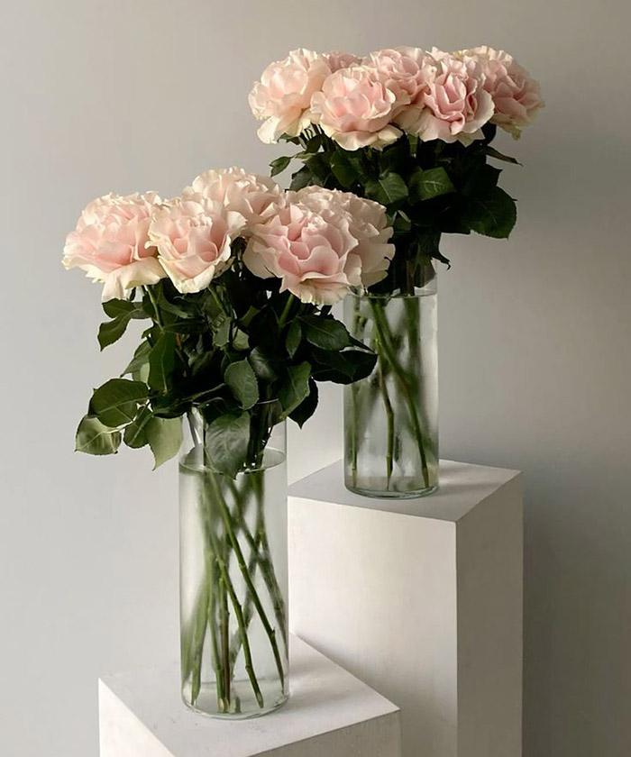 Французские розы, поштучно