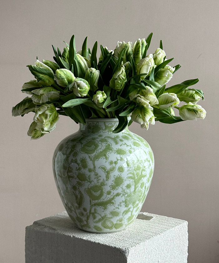 Французские тюльпаны супер Перрот бело-зелёные, поштучно