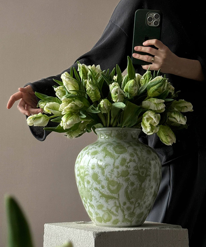 Французские тюльпаны супер Перрот бело-зелёные, поштучно